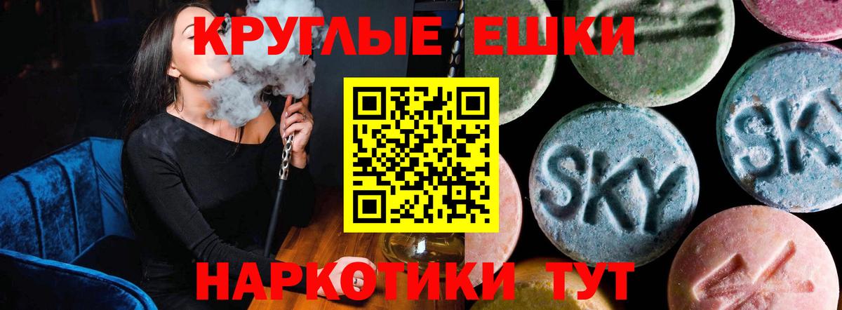 Ecstasy Philipp Plein  Вход с VPN  Ecstasy  Кызыл 