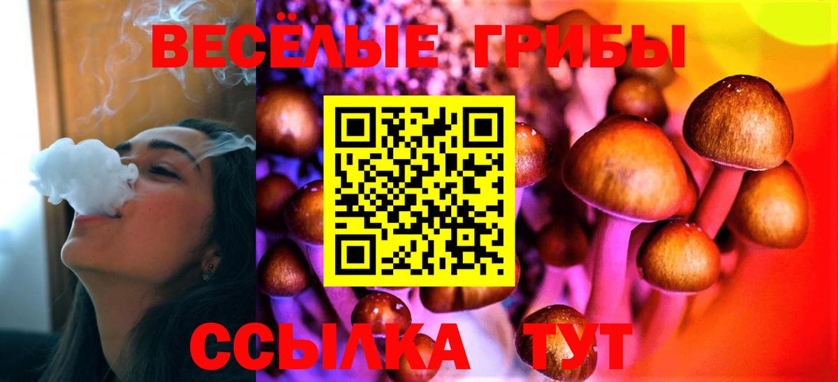 Галлюциногенные грибы ЛСД  Псилоцибиновые грибы Magic Shrooms  Кызыл  Вход с VPN 