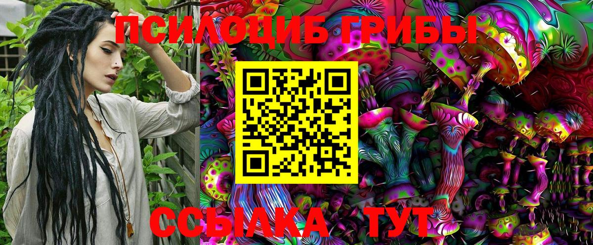Галлюциногенные грибы Psilocybine cubensis Кызыл